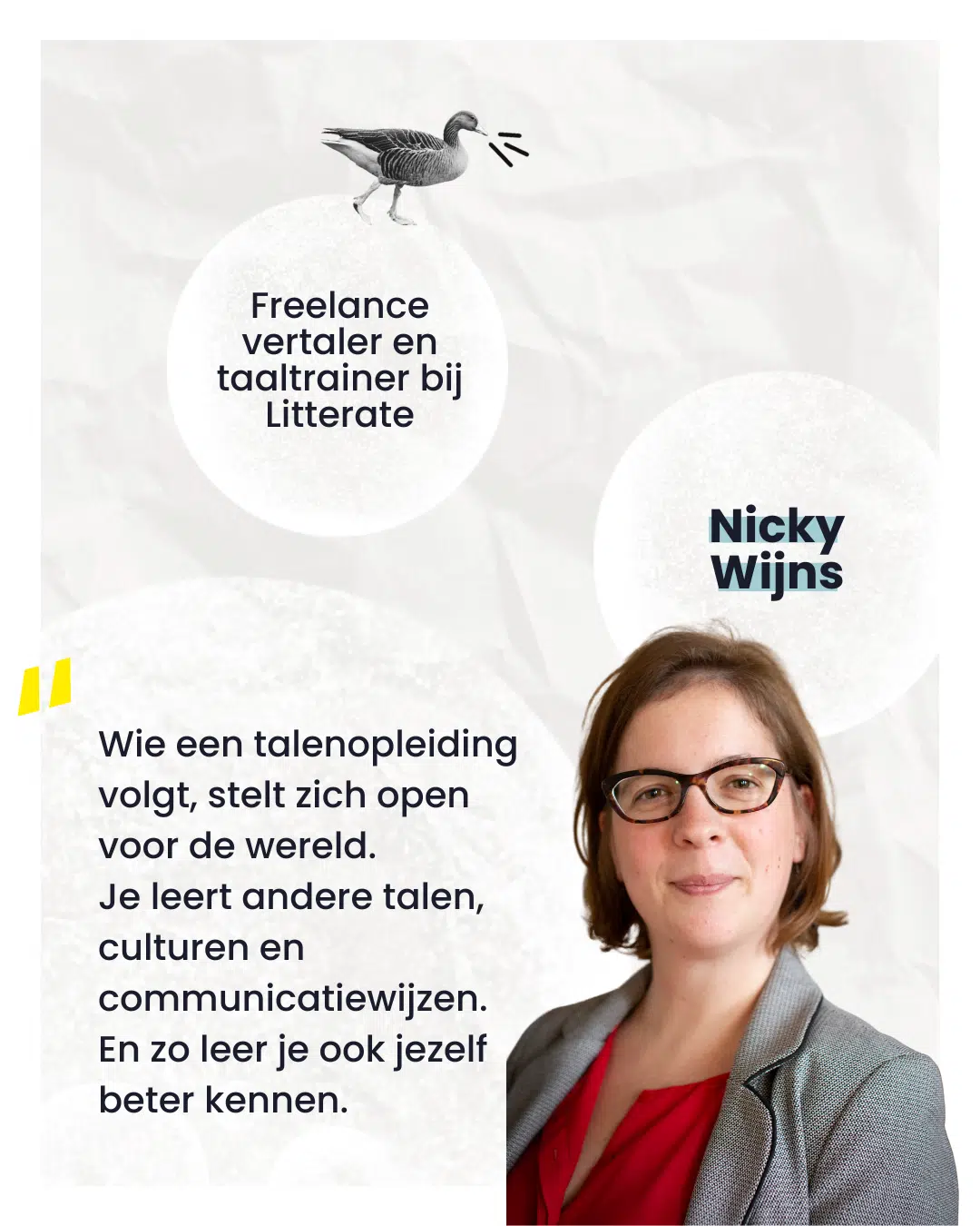 Ambassadeur Nicky Wijns - Freelance vertaler en taaltrainer bij Litterate